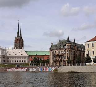 Ausblicke von der Bootstour auf der Oder