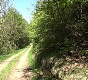 Magolsheimer Buchtalweg