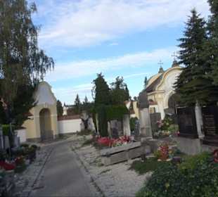 Haupt- und Waldfriedhof
