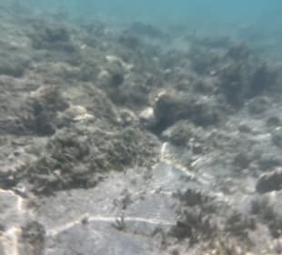 Schnorcheln Hurghada