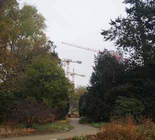 Parkanlage Planten un Blomen