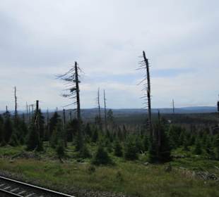  HSB Harzer Schmalspurbahnen