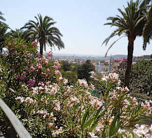 Parc Guell
