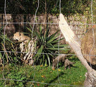 Herbstlicher Zoobesuch