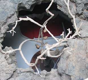 Blick von oben in den roten Wohnraum 