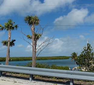 Abwechslungsreiche Fahrt