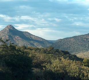 Panorama