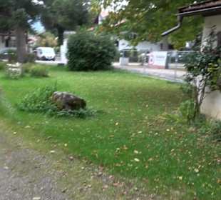 Kunstmuseum Villa Jauss