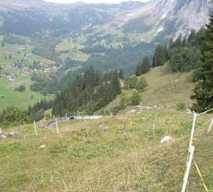 Sommerrodelbahn auf der Pfingstegg