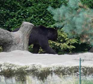 Tierpark Hagenbeck