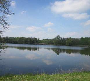 Altrhein bei Sondernheim