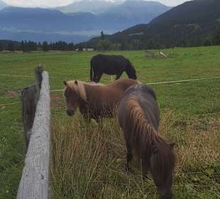 Villanderer Alm