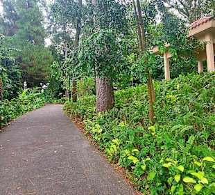 Mount Faber Point