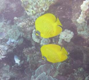 Ausflug mit Joseph&Marlen