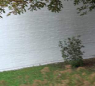 Pfarrkirche St. Martin