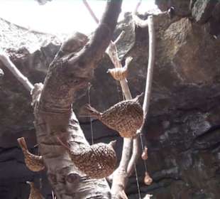 Fundacion Cesar Manrique