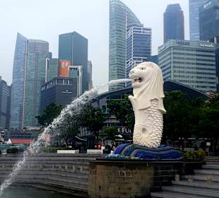 Merlion MBS