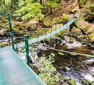 Wandern Buchberger Leite