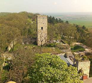 Ausblick von der Eckartsburg Turm