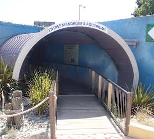 Eingang Aquarium