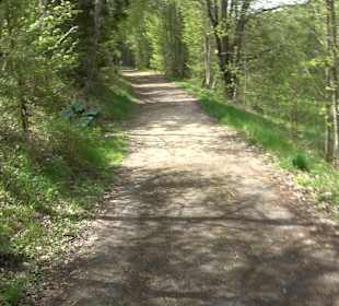 Wandergebiet Liebfrauental
