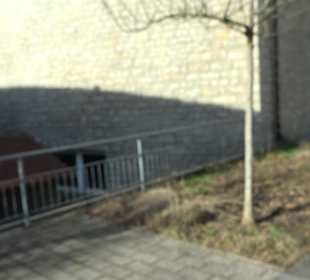 Katholisches Pfarramt St. Petrus Lustnau