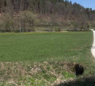 Waldkulturerbe Neuweiler Viehweide