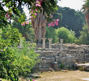 Alte Hafenanlage Kos Stadt