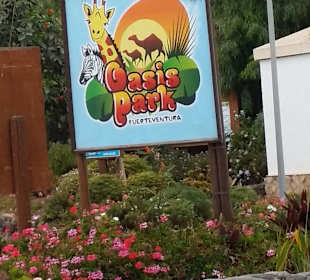 Der Eingang zum Oasis Park