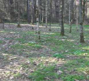 Wanderung Florianrunde