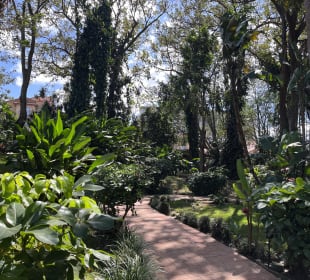 Gartenanlage