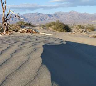 Mesquite Sand Dunes