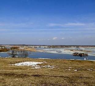 Przedwiośnie nad Biebrzą.