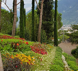 Die Gärten von Schloss Trauttmansdorff 