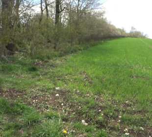 Vulkankrater-Rundweg Apfelstetten