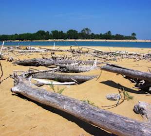Richtung Lignano rüber