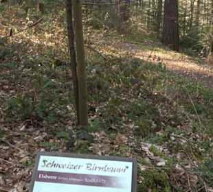 Wanderung Florianrunde