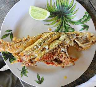 Jeder einen ganzen Papageienfisch