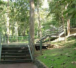 Weg nach oben zum Museum