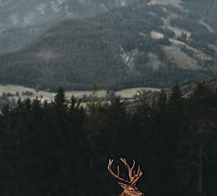 Wandern Maria Alm