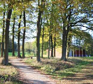 Wald umsäumte Fairways