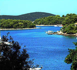 Maslinica port entrance