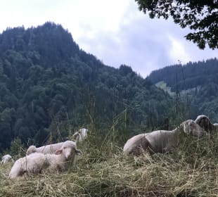Wandern Oberstdorf