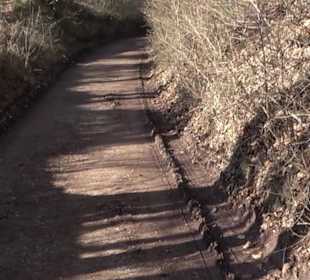 Hirschauer Spitzbergwegle (Premiumspazierwanderweg