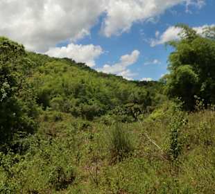 Hinterland zu den Mayfield Falls