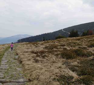 Berg Schneekoppe/Śnieżka