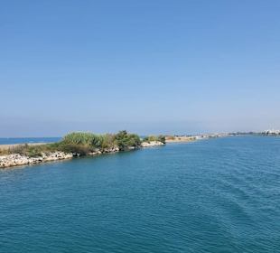 Der Fluss und das Meer.
