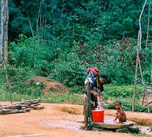Cameron Highlands Wanderung