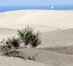 Die Dünen von Maspalomas