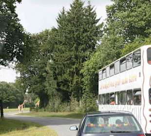 Serengeti Park Hodenhagen